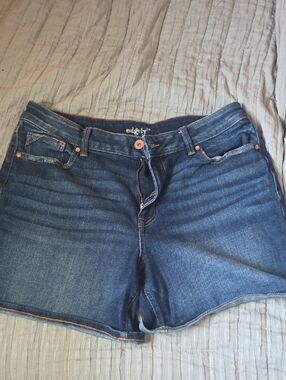 edgely Dark Wash Denim Shorts - Blue